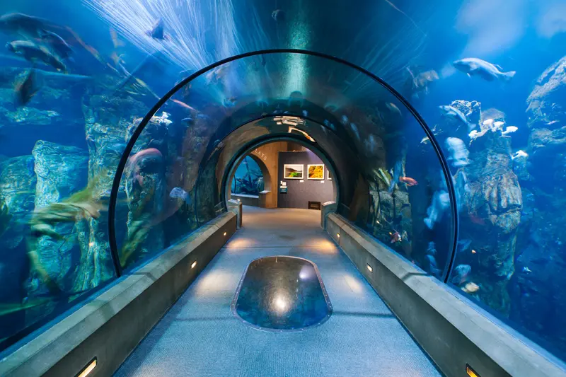 Things to Do in Newport Oregon: Your Ultimate Coastal Adventure Guide ...